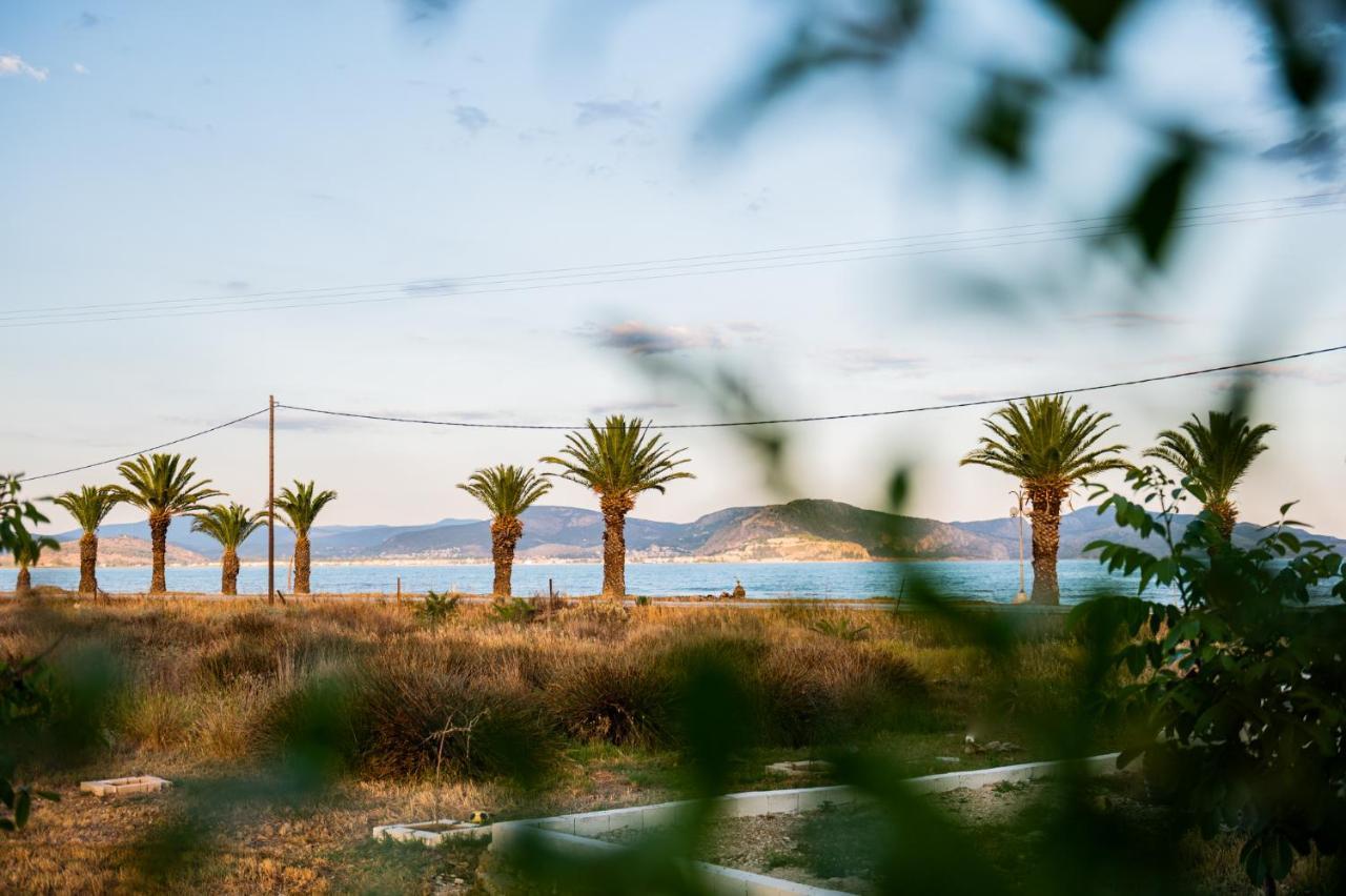 Sea View Residence Nea Kios Luaran gambar
